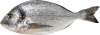 Дорадо с/г непотрош.,Турция, вес 1шт.    400-600гр.